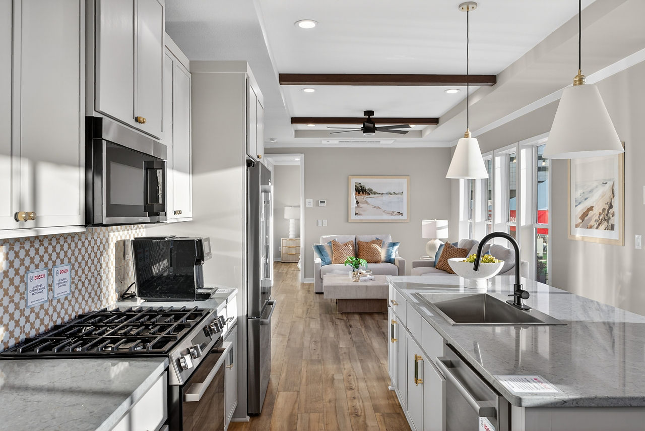 Coral Haven 11