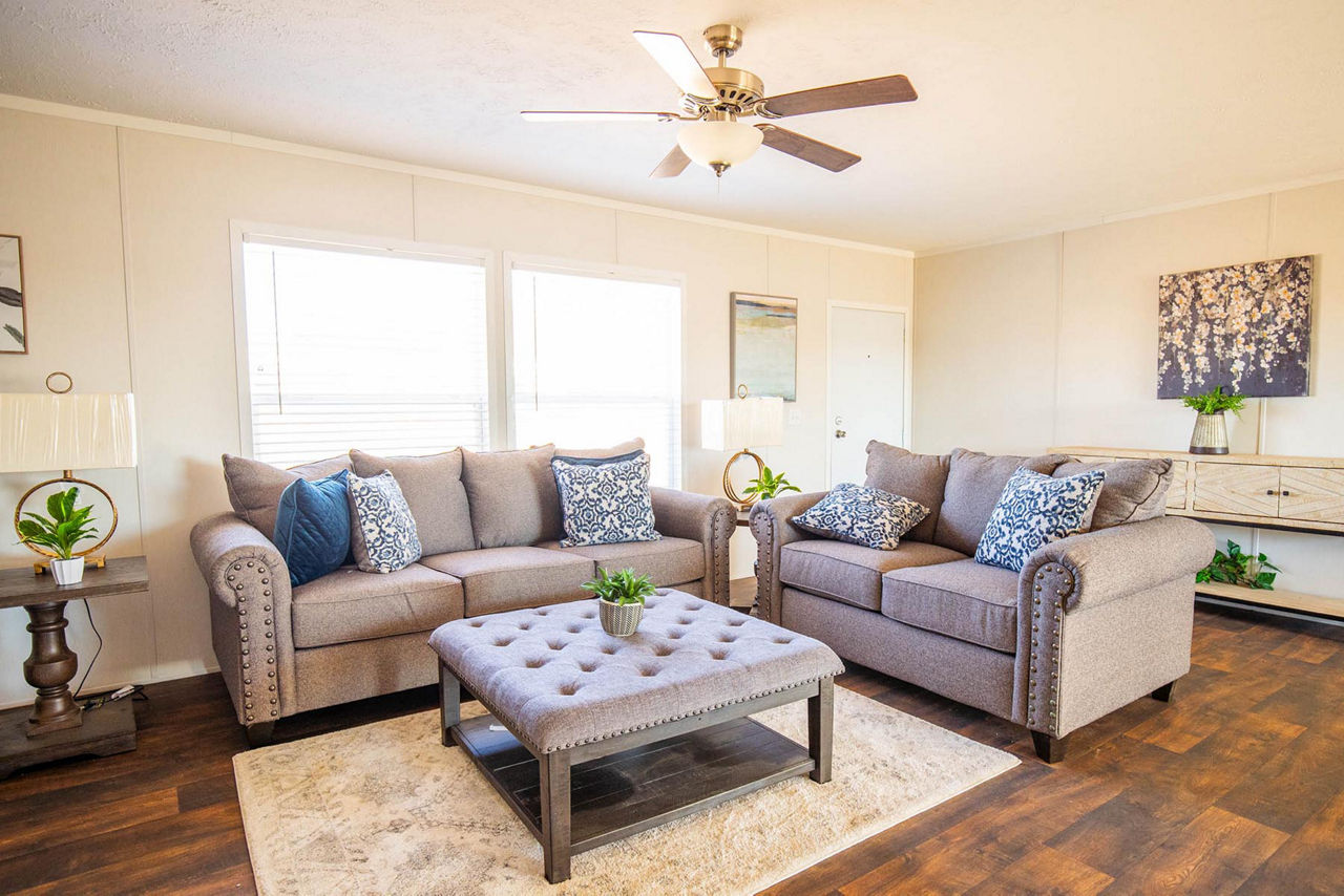 Scout 7