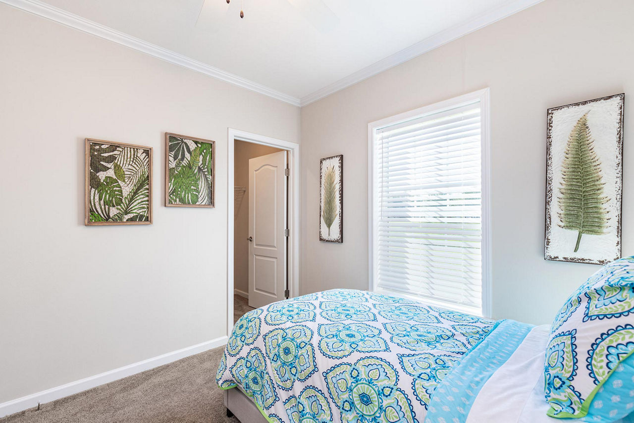 Sliver Springs 5351 4